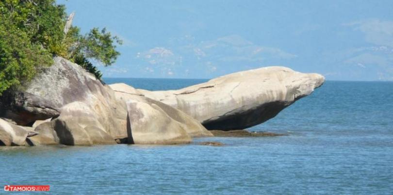 Apto Lindo E Aconchegante Com Piscina 202A Caraguatatuba Eksteriør billede